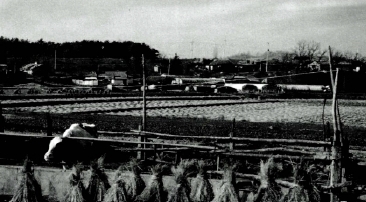 파주 금파리유적 전경