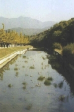 과천의 하천 ; 홍촌천
