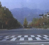 과천의 길 #8