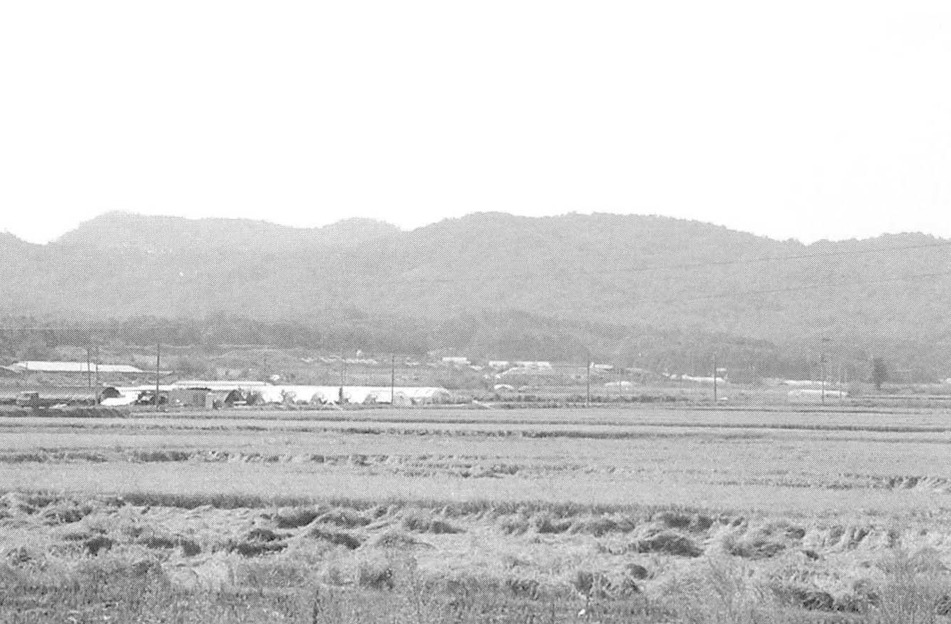 봉의산