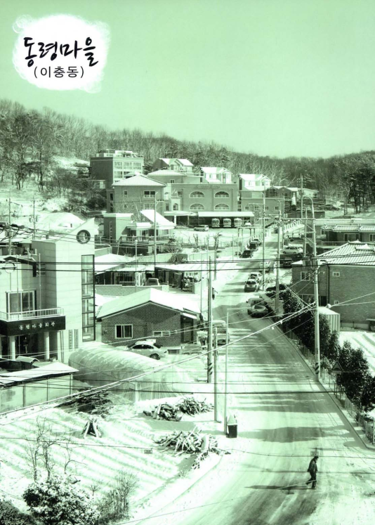 [동령마을의 정월대보름축제 ; 동령마을(이충동)]