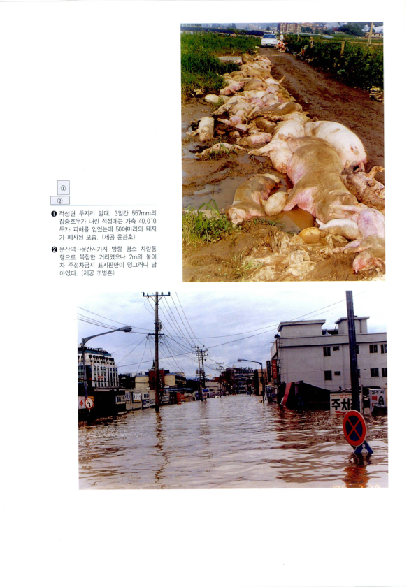 임진강 유역 대홍수, 1996년 그 여름