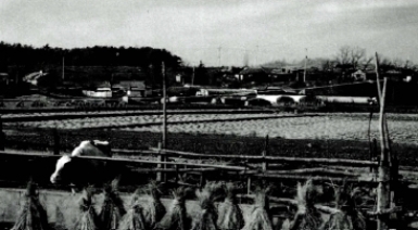 파주 금파리유적 전경