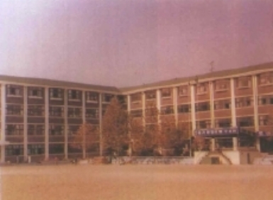 과천의 학교 #6