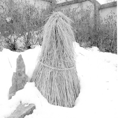 터주가리(매곡1리 남기택씨댁)