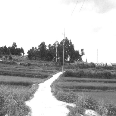 누운소형의 귀부분터(송온리 경주김씨 무덤)