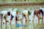 http://text.library.kr/ggm_photo/pc000/service_file/pc00000201.jpg http://text.library.kr/ggm_photo/pc000/service_file/pc00000201.jpg