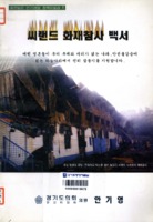 씨랜드 화재참사 백서 ; 젊은일꾼 안기영의 정책자료집 2