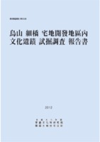 오산 세교 택지개발지구내 문화유적 시굴조사 보고서