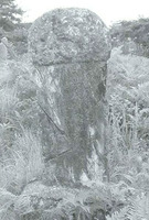 충성공 권균 묘소 묘비